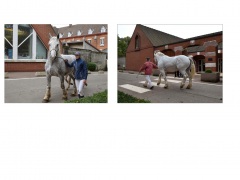 Egalité homme-femme