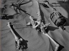 Egalité homme-femme