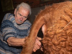 007-Romeo-01-0990-0017