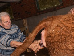 008-Romeo-01-0990-0017