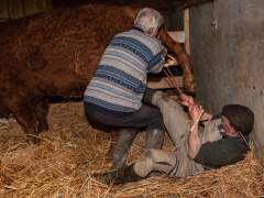 010-Romeo-01-0990-0017