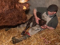 011-Romeo-01-0990-0017