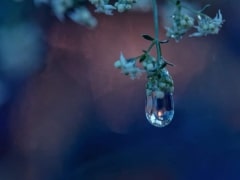 Perle-Eric-Dubois-Geoffroy-69e