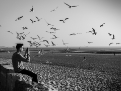 Les mouettes par Yvonne Berrier
