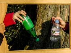 "La nature qui se meurt", Groupe 4, École du Bourg La Chapelle d'Armentières