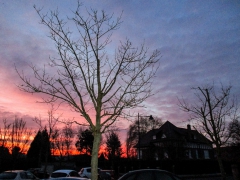"Lever de soleil", Ecole du Bourg La Chapelle d'Armentières