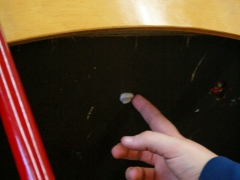 "Pollution quotidienne", Groupe S4, Collège Jean-Rostand, Armentières