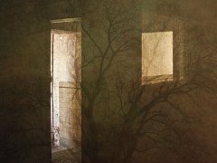Marie Vérin-Fenêtre, porte, arbre