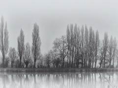 Francine-Vicaire-Costenoble-Brouillard