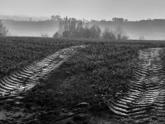 Paul-Bonte-kemmel-ornieres