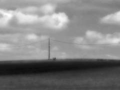 Patrick-Robillard-Joli-mois-de-mai-1er-dimanche-de-deconfinement