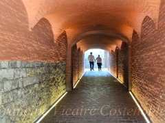 Portfolio - Francine Vicaire Costenoble - "Mons passage" - 2017