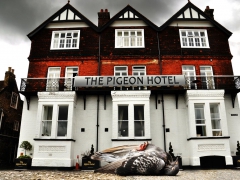 The pigeon hotel par Jean-Pierre Lefrançois