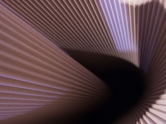 Échappée labyrinthique - Annie Larcher