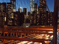 Contraste - Michel Vieux