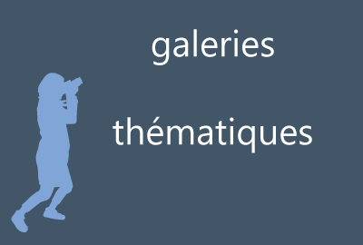 menu_cube_rubriques_Galeries-thematiques